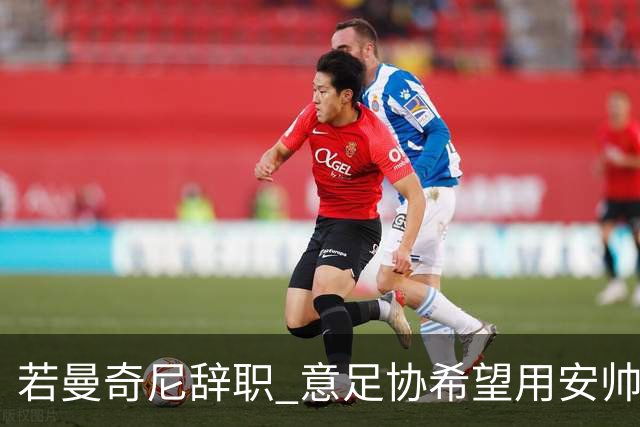 若曼奇尼辞职 意足协希望用安帅或卡纳瓦罗替代